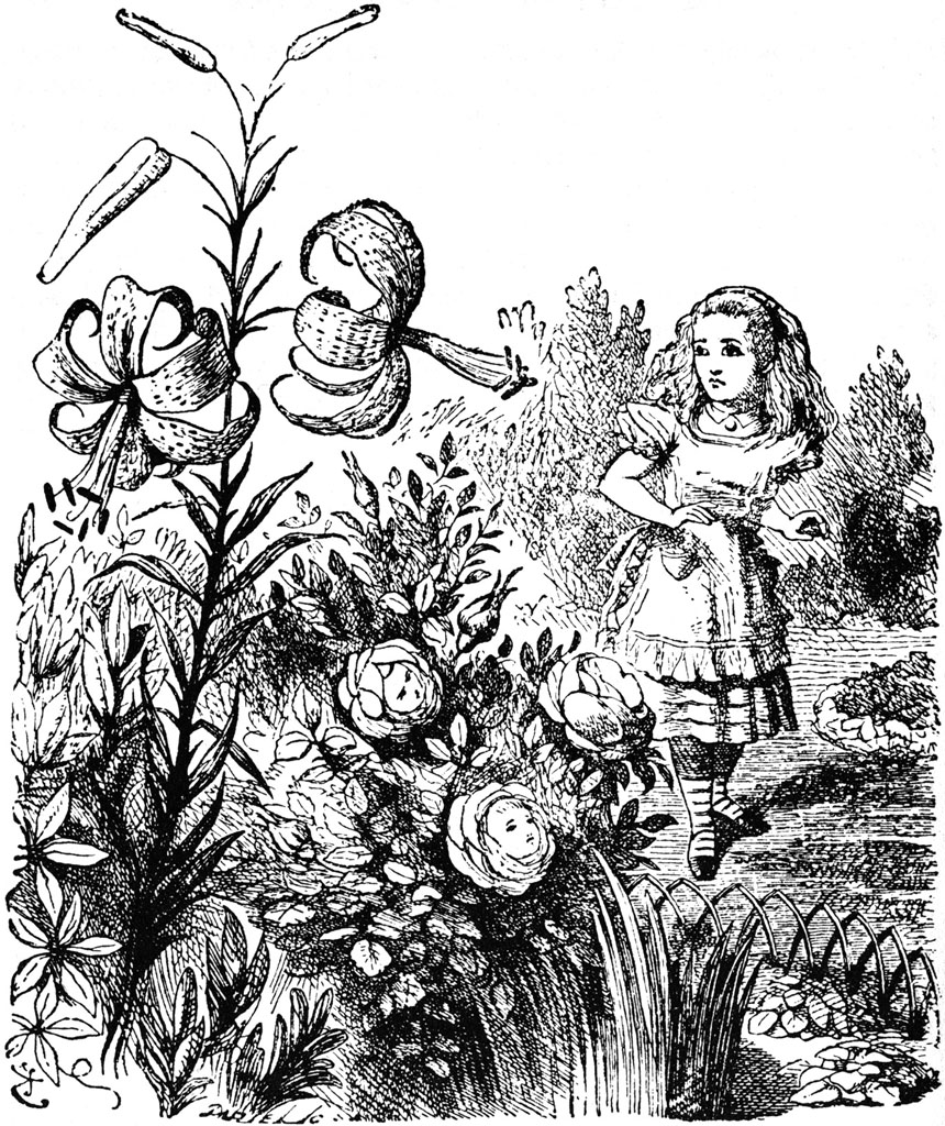 The Alice in Wonderland Cookbook and Lewis Carroll’s Guide ...