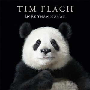 More Than Human: Tim Flach’s Striking Portraits of Animals